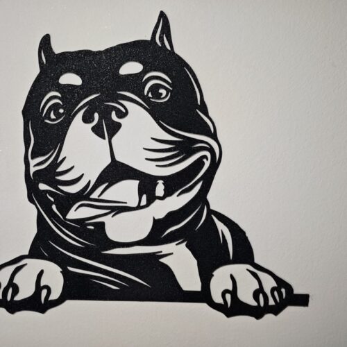 IMG-20250920-WA0010 Winston