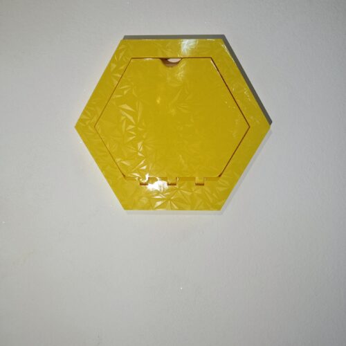 IMG_20250920_115727 PČELA POLICA