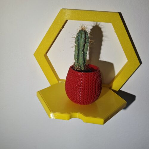 IMG_20250920_120144 POLICA HEKSAGON