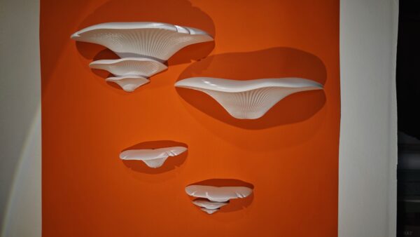 POLICA GLJIVE VELIKE