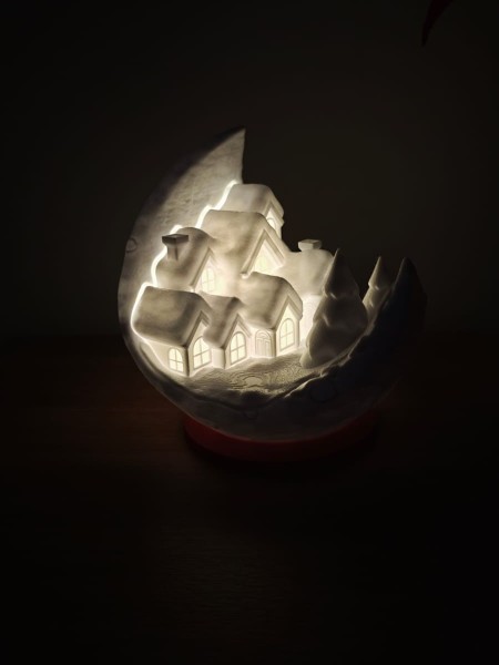 1000017236 Moonlight Village