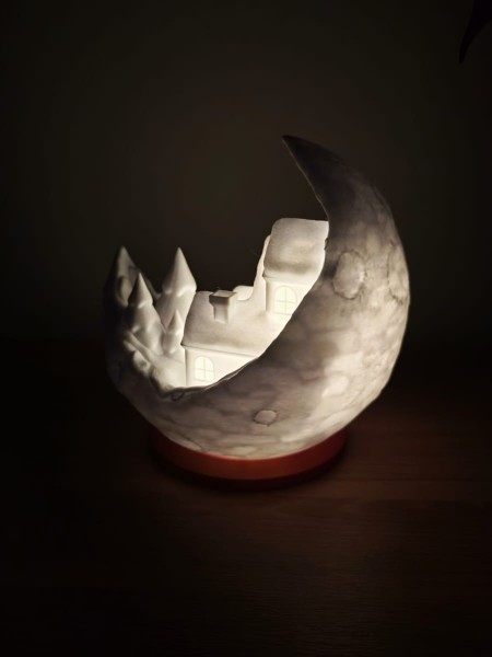 1000017240 Moonlight Village